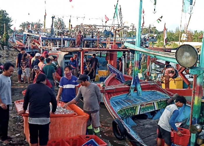 Seperti di Tegal, Tempat Sandar Kapal TPI Tanjungsari Kabupaten Pemalang Juga Overload