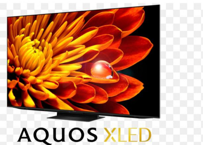 Keren! Smart TV Sharp AQUOS XLED 47-C75FV1X Mampu Menciptakan Suara Menggelegar dengan Fitur Super Lengkap 