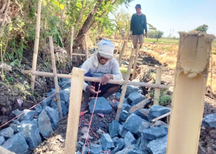 Diduga Asal-asalan, Pembangunan Jaringan Irigasi Tersier Slatri Brebes Disorot
