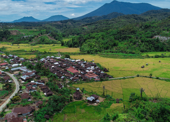Sumpek dan Bosan Tinggal di Pulau Jawa? Ini 4 Provinsi Tersepi di Indonesia