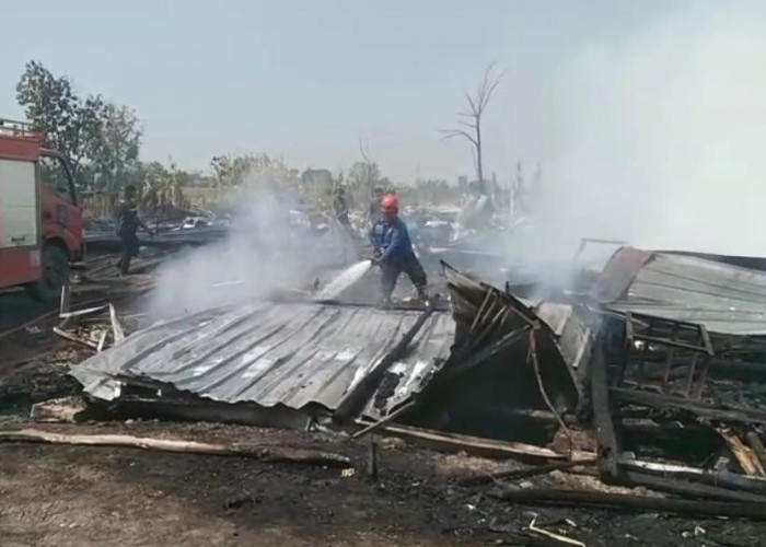 Sehari Jelang Panen, Kebakaran Kandang Ayam di Tegal Hanguskan 33 Ribu Ekor 