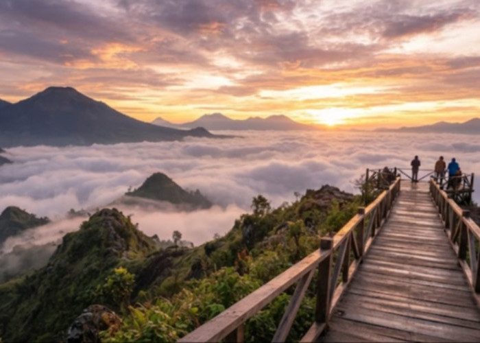 Lagi Viral di Media Sosial! Cek Pilihan Destinasi Wisata Terbaru di Brebes Ini
