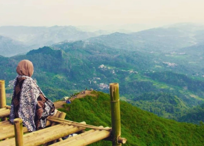 Wisata Murah Meriah! Ini 10 Tempat Wisata Populer di Pekalongan yang Ramah Kantong