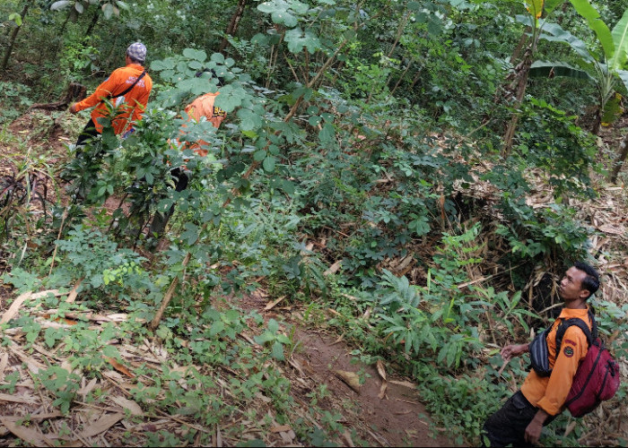 Wanita di Brebes Raib di Hutan Makam Dawa