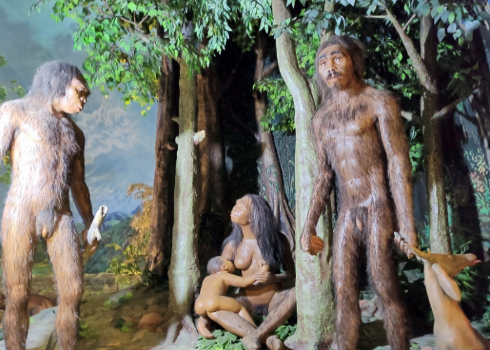 5 Destinasi Unik untuk Wisata Edukasi Anak di Jawa Tengah Selain Kebun Binatang