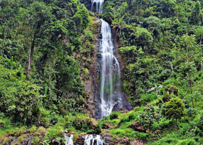 Cuma Rp15.000, Curug Pletuk Banjarnegara Wisata Alam Eksotis Cocok untuk Camping