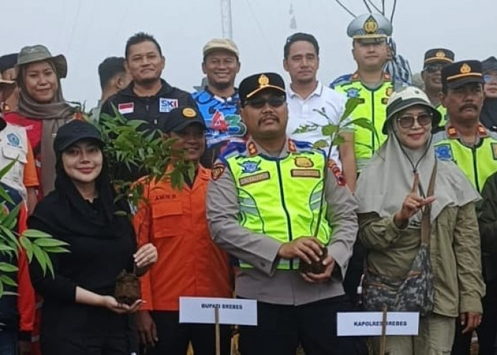 1.000 Pohon Ditanam di Brebes, Penghijauan Hutan Libatkan 500 Peserta.