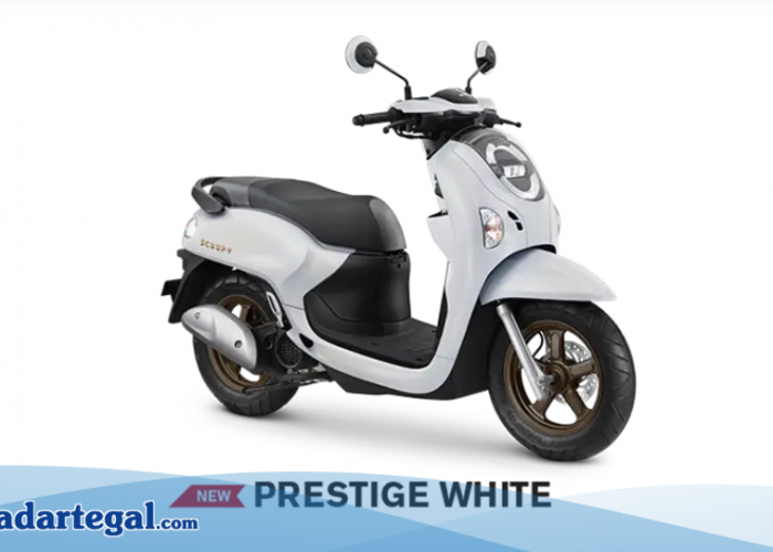 Simulasi Kredit Honda Scoopy 2025, Cocok Buat Gaji UMR Tegal