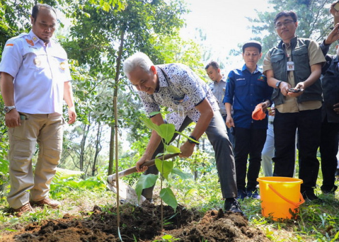 Ganjar Dorong Reboisasi Cegah Banjir dan Pencemaran Lingkungan di Jateng