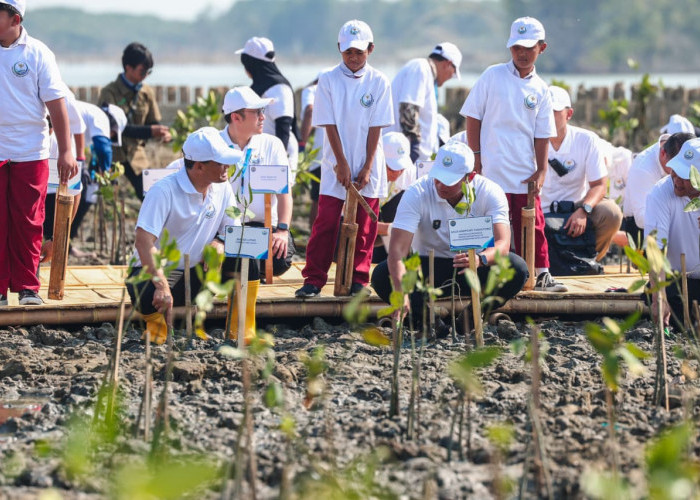 Lawan Abrasi Pantura, AHY dan Luthfi Tanam Mangrove HexBricks