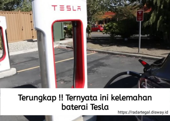 Terungkap, Ternyata Ini Kelemahan Baterai Tesla, Sebelum Membeli Mobil Listrik Ini Kalian Wajib Tahu