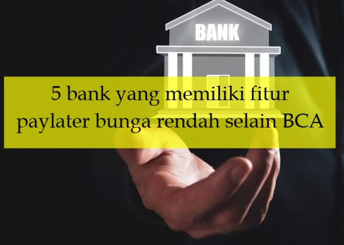 5 Bank yang Memiliki Fitur Paylater Bunga Rendah Selain BCA, Limit Pinjamannya Sampai Ratusan Juta