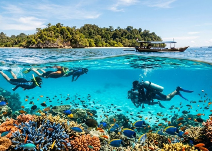 7 Spot Diving dan Snorkeling Terbaik di Karimunjawa 2026, Ada Hiu dan Terumbu Karang Cantik