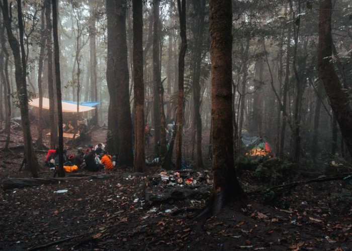 5 Gunung dengan Mitos Pasar Setan Terkenal di Kalangan Pendaki