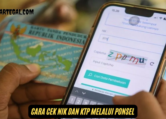 Marak Pencurian Data, Begini Cara Cek NIK dan KTP Melalui Ponsel