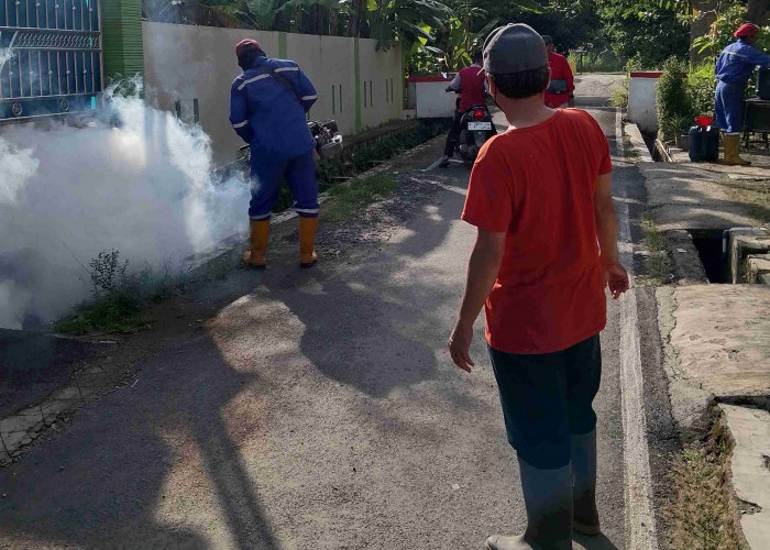 Cegah Penyebaran Penyakit DBD, Pemdes Ampelgading Pemalang Lakukan Ini