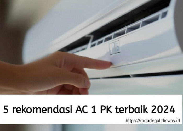 5 Rekomendasi AC 1 PK Terbaik 2024, dari Mulai Panasonic sampai LG Teknologi Terkini 