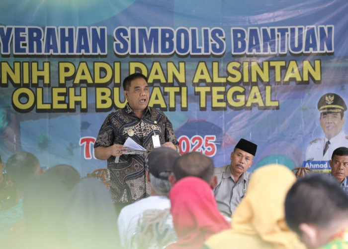 Soal Pupuk Subsidi di Kabupaten Tegal, Wabup: Ini yang Paling Dikeluhkan Petani