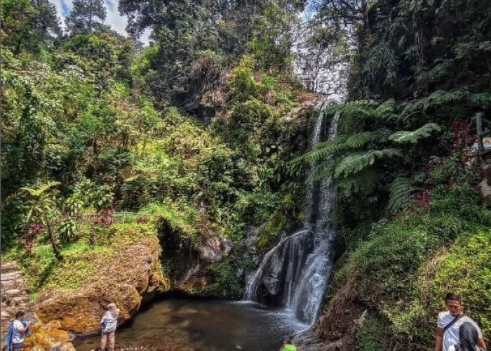 Pesona Keindahan Curug Serwiti di Tegal, Tujuan Wisata Menarik di Jateng yang Wajib Masuk Itinerary Anda