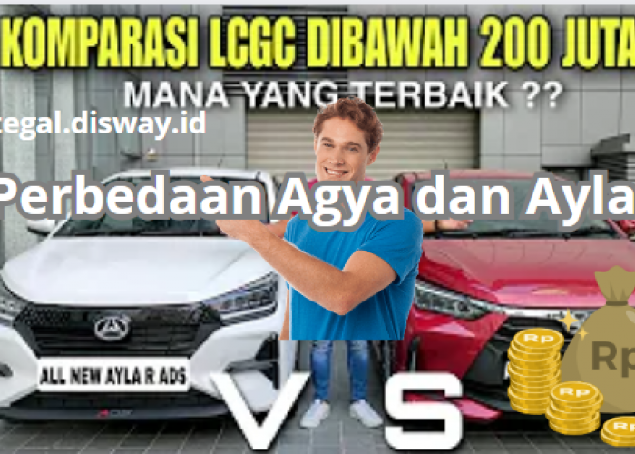 Terlihat Sama, Ini Dia Perbedaan Toyota Agya dan Ayla yang Masih Banyak Orang Keliru