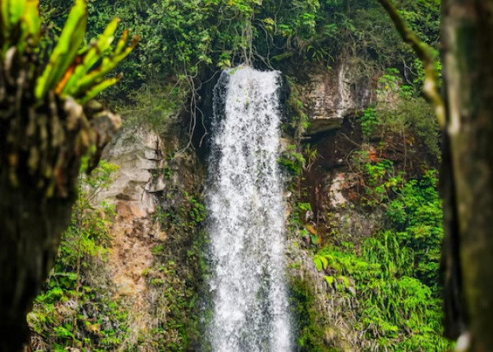 5 Curug Tegal Akses Mudah Buat Pemula, Pas Buat Healing