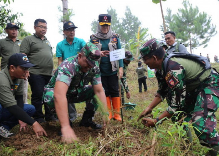 Gerakan Tanam Pohon untuk Perluas Cakupan Tutupan Lahan di Kabupaten Tegal