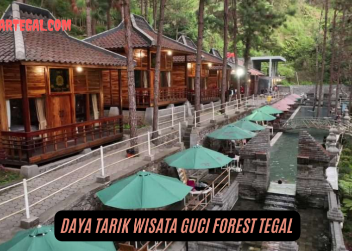 Libur Akhir Tahun, Ini Review Wisata Guci Forest Tegal Bikin Wisatawan Ngiler