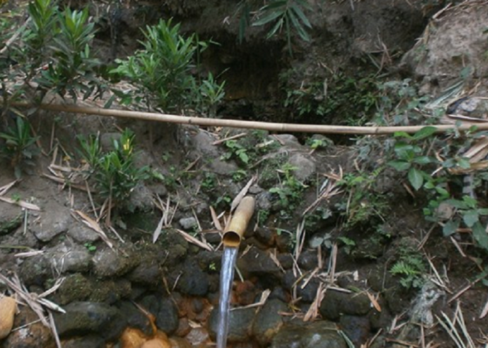 Mengungkap  Misteri Sejarah Tuk Dandang : Sumber Air Tak Pernah Surut di Kalisoka Tegal