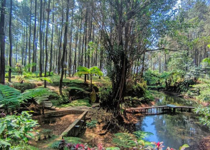 10 Wisata Menenangkan di Tegal untuk Healing, Cocok untuk Lepas Penat