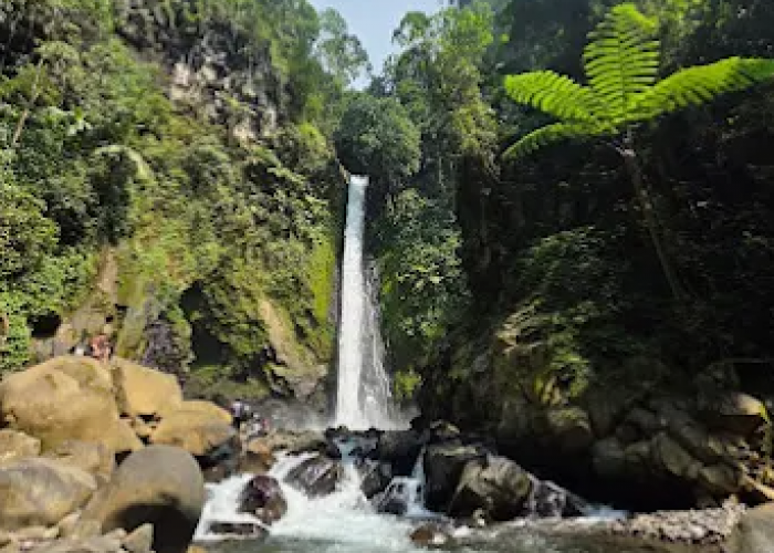 Air Terjun Genting Blado Batang, Wisata Alam Eksotis di Tengah Hutan Pinus