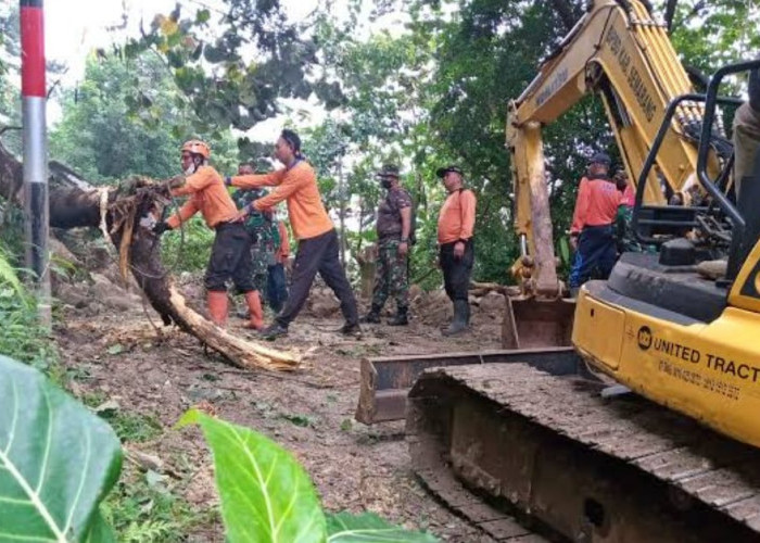 Tangani Longsor di Salem Brebes, 3 Alat Berat Diterjunkan