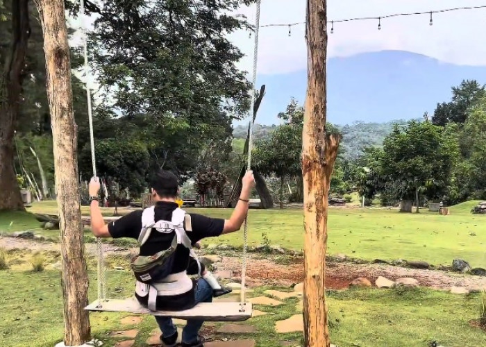 4 Wisata Hutan Pinus Kekinian di Jawa Tengah, Banyak Aktivitas Serunya