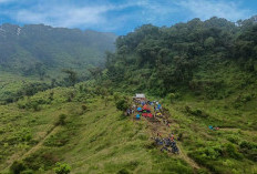 SlametWatch: Ketika Anak Daerah Membangun “Google Maps” untuk Menyelamatkan Hutan Gunung Slamet