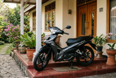 5 Motor Bebek Injeksi Murah 2026, Cocok untuk Teman Kerja