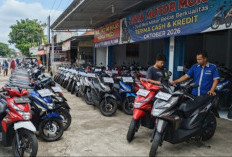 5 Motor Bekas Murah Oktober 2026, Irit BBM Mulai 5 Jutaan!