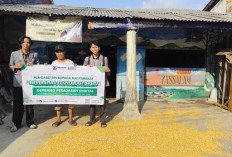 Mengapa Banyak Usaha Mikro, Kecil, dan Menengah Enggan Beralih ke Digital Meskipun Kesempatan Besarnya?