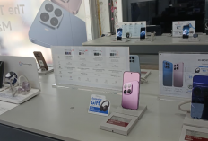 Rekomendasi Hp Xiaomi Buat Pelajar Spek Dewa Harga Murah, Mulai Sejutaan!