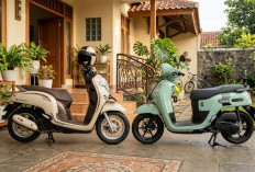 Perbandingan Honda Scoopy vs Yamaha Fazzio 2026, Mana yang Lebih Cocok untuk Anak Muda?