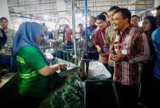  Tahun 2025, Pertumbuhan Ekonomi Jawa Tengah Melesat! Investasi Menggeliat   