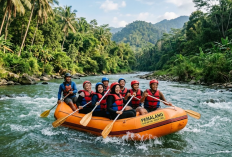 10 Wisata Air di Pemalang yang Asri dan Instagramable 2026, Ada Curug, Telaga hingga Sungai Jernih