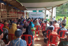 Baznas RI Salurkan Program Dam Haji 1447 H di Pemalang, Dirjen Bimas Islam: Kambing Berasal dari Indonesia
