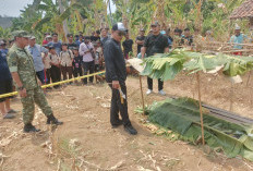 Tragedi di Bantarkawung Brebes: Lansia Meninggal di Kebun, Anak Kandung Serahkan Diri ke Kades