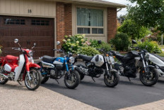 Bensin Awet Tarikan Tetap Responsif! Cek Pilihan Motor Harian Irit Merk Honda Ini