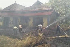 4 Hektare Lahan di Rumah Dinas PG Jatibarang Brebes Tebakar