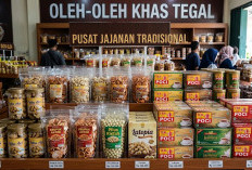 Oleh-Oleh Khas Tegal untuk Teman Kantor, Ini Pilihan Isi dan Harga yang Perlu Dibandingkan