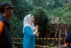 Tinjau Jembatan Ambruk di Cilibur, Bupati Brebes Janji Buat Penanganan Cepat
