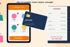 Cicilan Kecil, Utang Besar: Paylater Menjerat Anak Muda