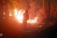 Kecerobohan Bakar Sampah Pemicu Tiga Kebakaran Lahan di Tegal