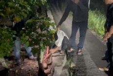 Diduga Edarkan Narkotika Jenis Sabu dalam Bungkus Permen, Pria Asal Cirebon Diamankan Polisi di Brebes 