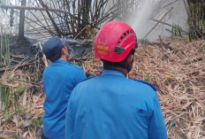 Sehari Tiga Kali Kebakaran Lahan di Tegal, Damkar Kerja Ekstra!